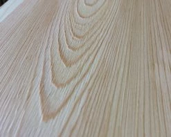 DuroTec Décapeur à Rouleau Brosseuse Bois, Avec Brosses En Nylon WT100/800DE -Ponceuses Soldes brosseuse bois avec brosses en nylon wt100 800de 2